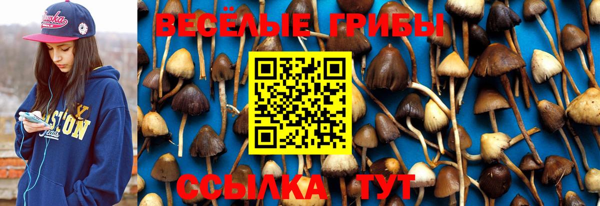 Псилоцибиновые грибы MAGIC MUSHROOMS Карталы