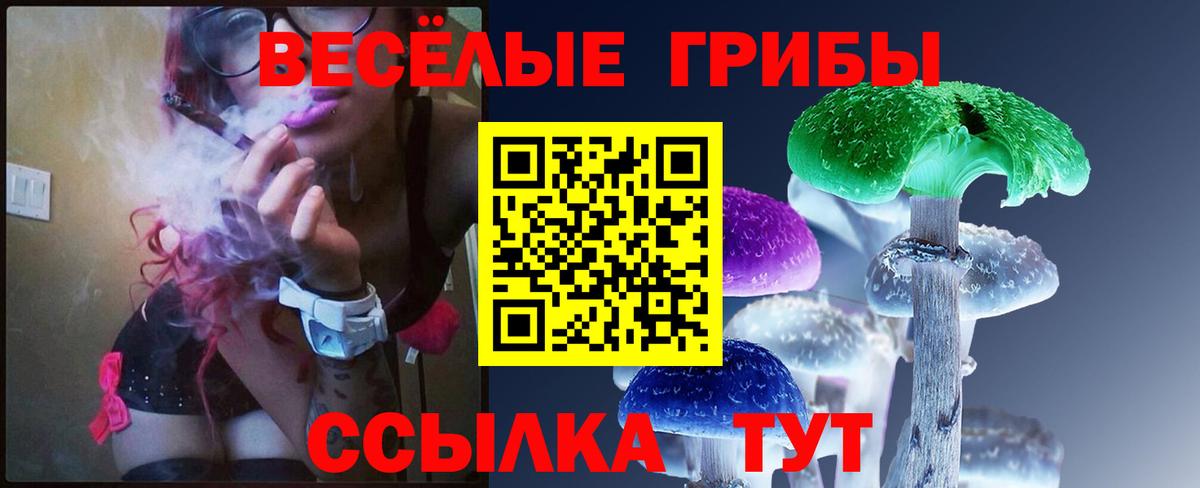 Карталы  как найти закладки  Вход с VPN  Псилоцибиновые грибы Psilocybe 